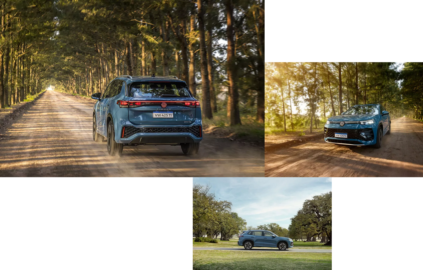 colage_tiguan colage_tiguan