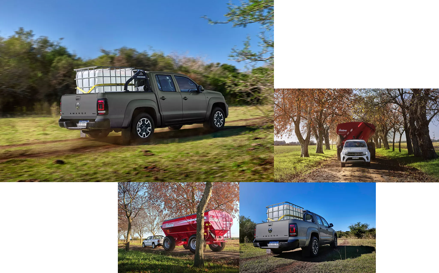 colage_amarok